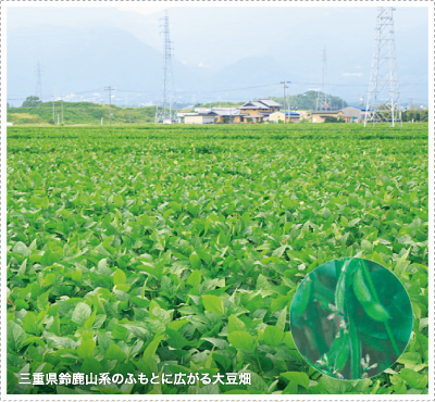 三重県鈴鹿山系のむもとに広がる大豆畑